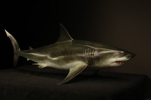 Large Metal Great White Shark Sculpture Modern Art Design BOK1-402 -  YouFine Sculpture